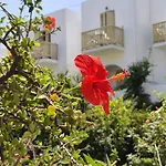 Vidalis 3* Kionia