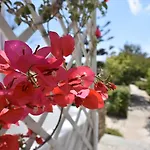 Hotel Vidalis
