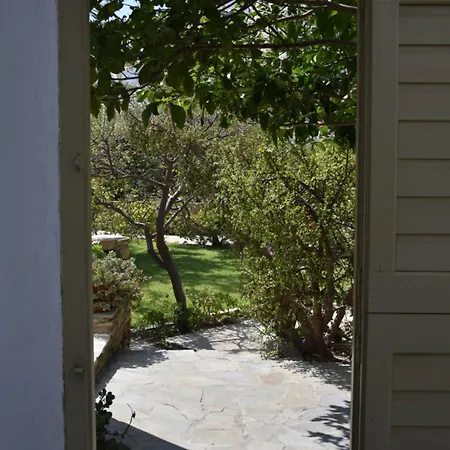 Vidalis キオニア