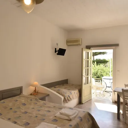 Vidalis קיוניה