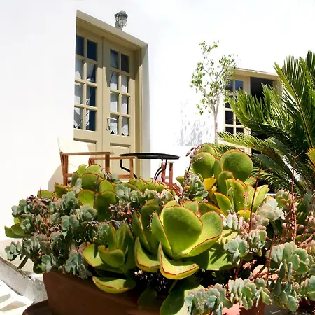 Vidalis キオニア