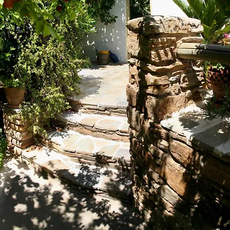 Vidalis キオニア