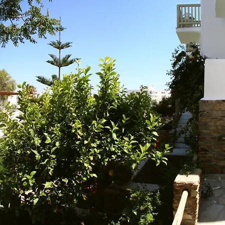 Hotel Vidalis Kionia