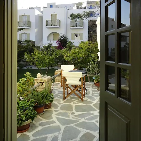 Vidalis קיוניה