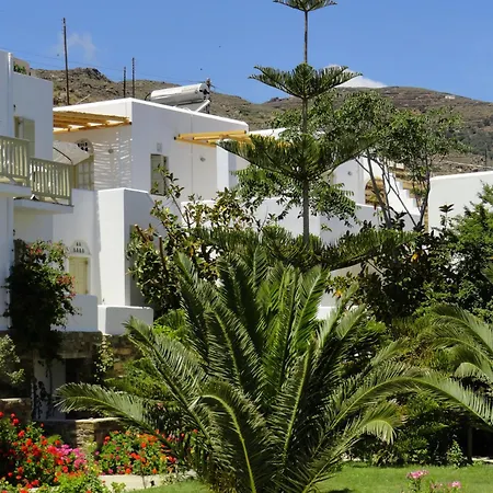 Vidalis קיוניה