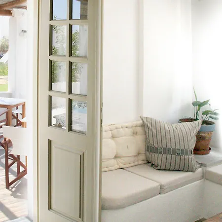 Vidalis קיוניה