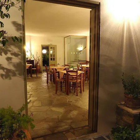 Vidalis