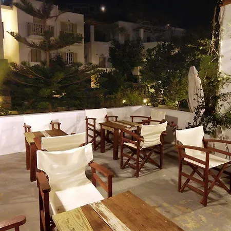 Vidalis קיוניה