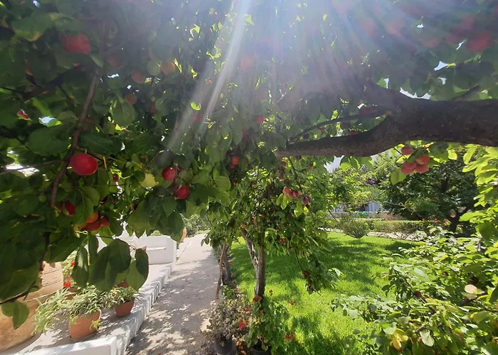 Hotel Vidalis Kionia