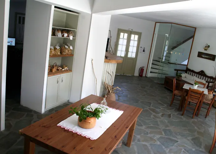 Hotel Vidalis Kionia